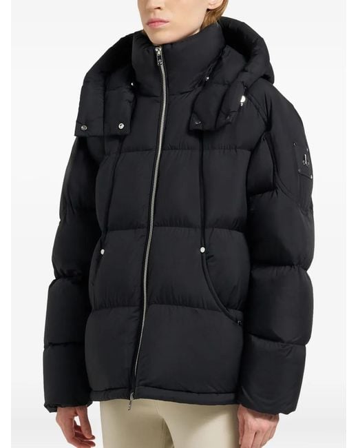 Moose Knuckles Black Removable-Hood Puffer Jacket