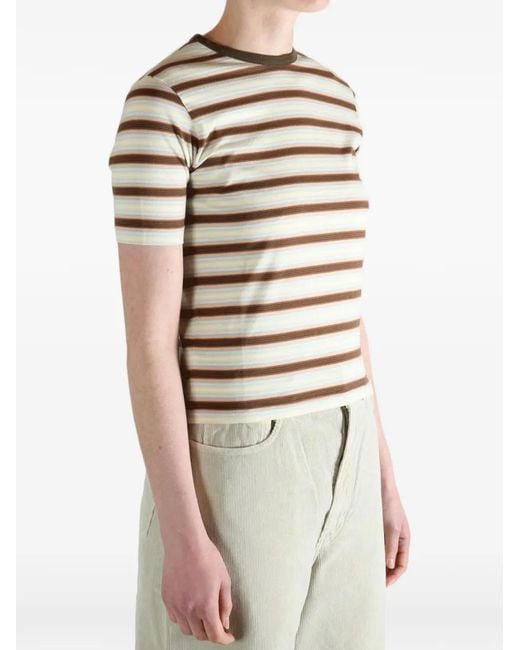 Auralee Brown Striped-Pattern T-Shirt