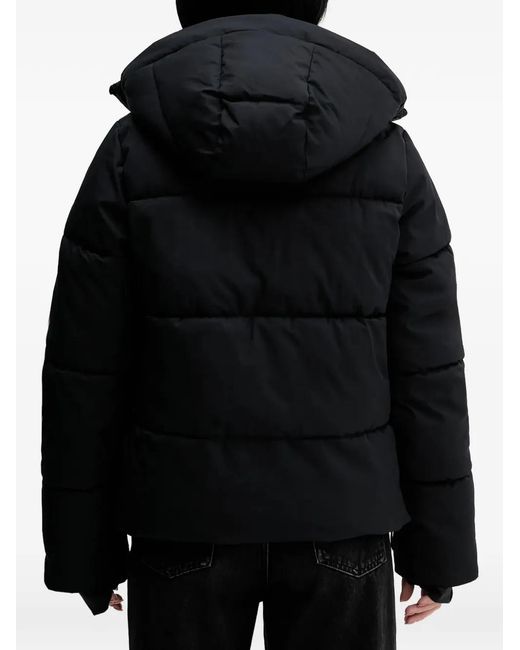 Hollister Black Hooded Puffer Jacket