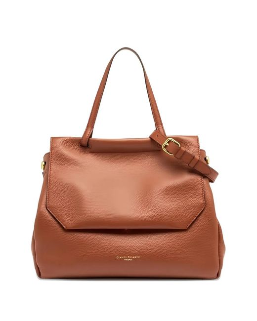 Gianni Chiarini Brown Ottavia Tote Bag