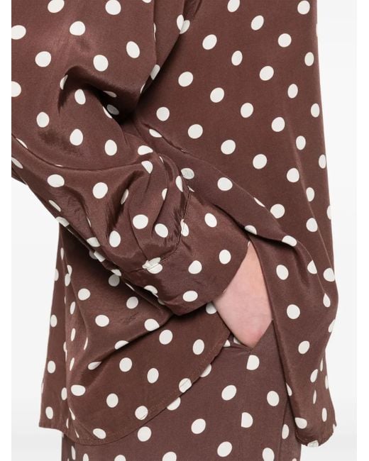 So Allure Brown Polka Dot-Print Trousers Set