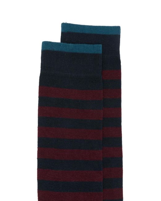 In The Box Blue Striped Socks for men