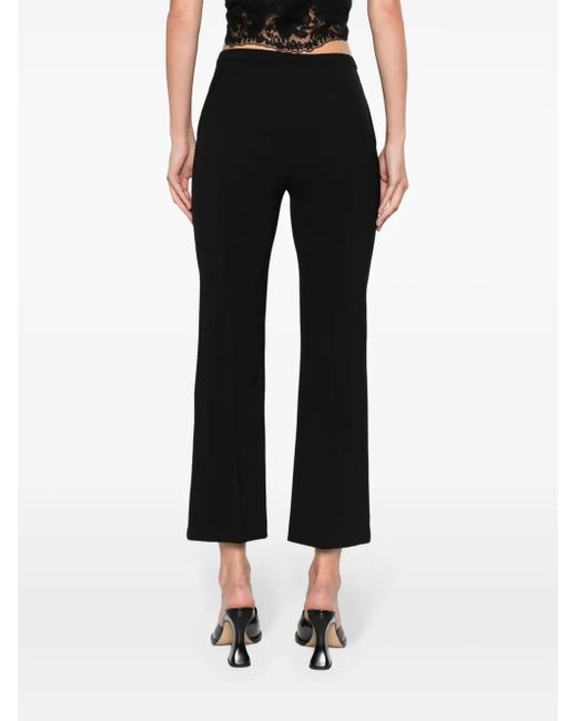 Blanca Vita Black Pleomele Cropped-Hose