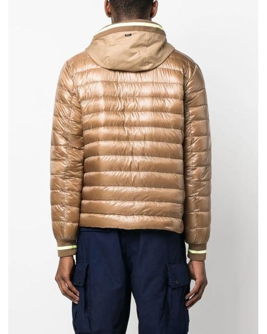 Herno Brown Drawstring Hooded Down Jacket for men