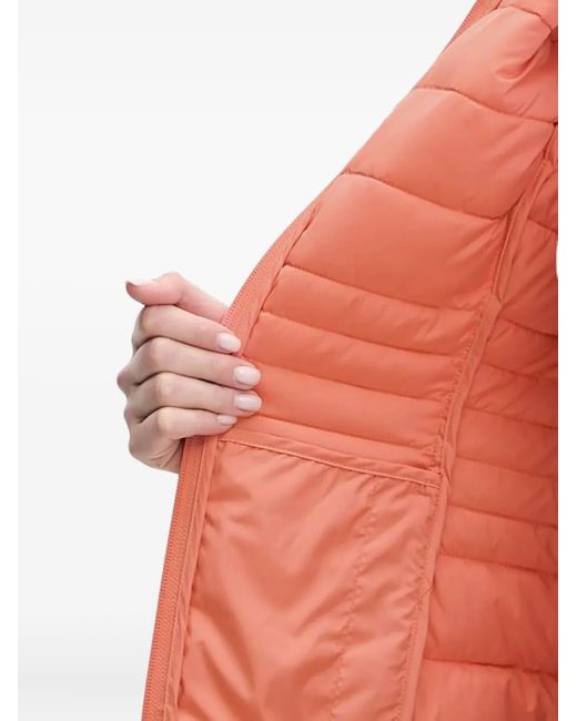 EA7 Red Veste Matelassée À Logo Imprimé