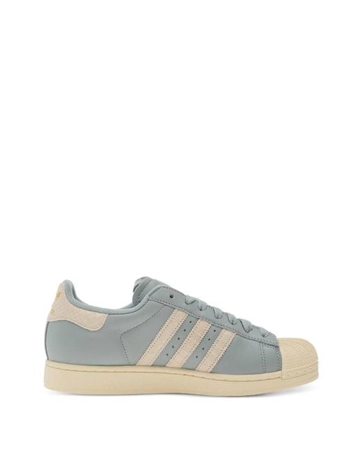 Adidas Blue Superstar Shell-Toe Sneakers