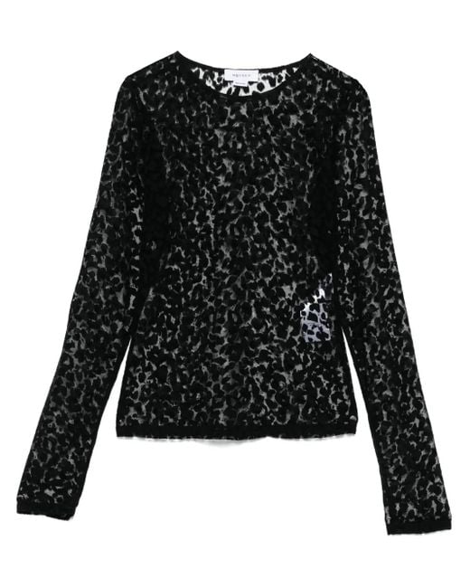 Alexander McQueen アニマルプリント トップ Black