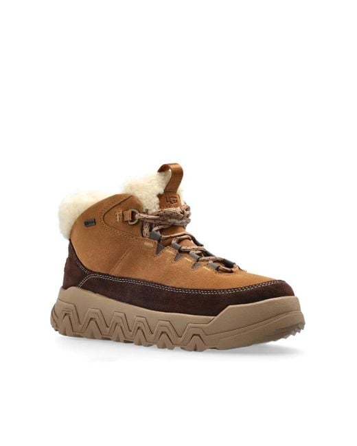 Ugg Brown Terretrail Cozy Lace-Up Boots
