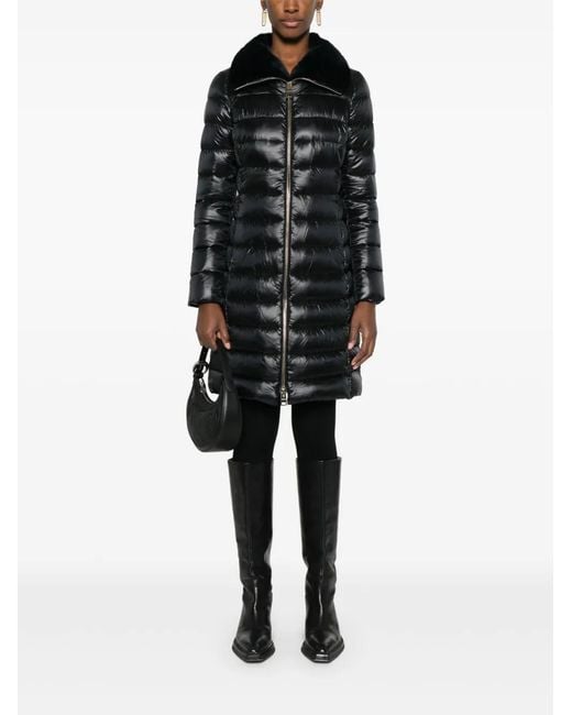 Herno Black Coats & Jackets