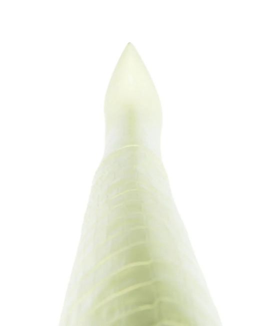 Paris Texas White Crocodile-Texture Stiletto Long Boots