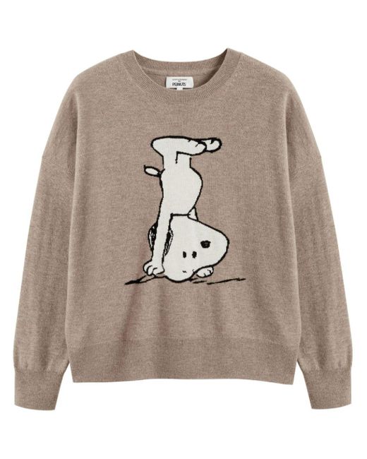 Chinti & Parker Brown Handstand Snoopy Jumper