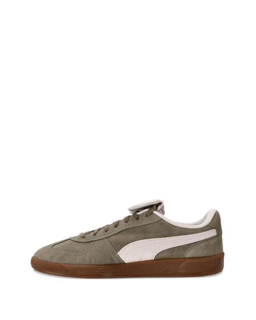 PUMA Brown Palermo Sneakers for men