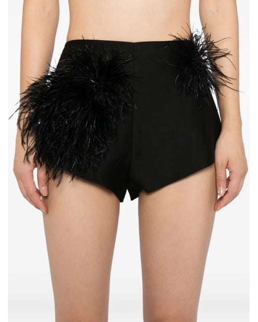 Macgraw Black That's Hot Shorts