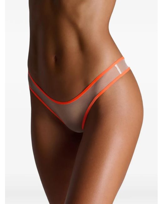 Maison Close Pink String Panorama À Taille Haute