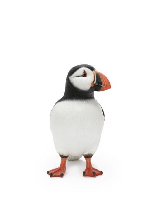 J.W. Anderson White Puffin Clutch
