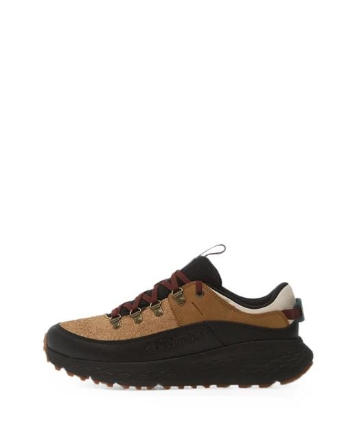 Columbia Brown Terrastride Bc Panelled Sneakers