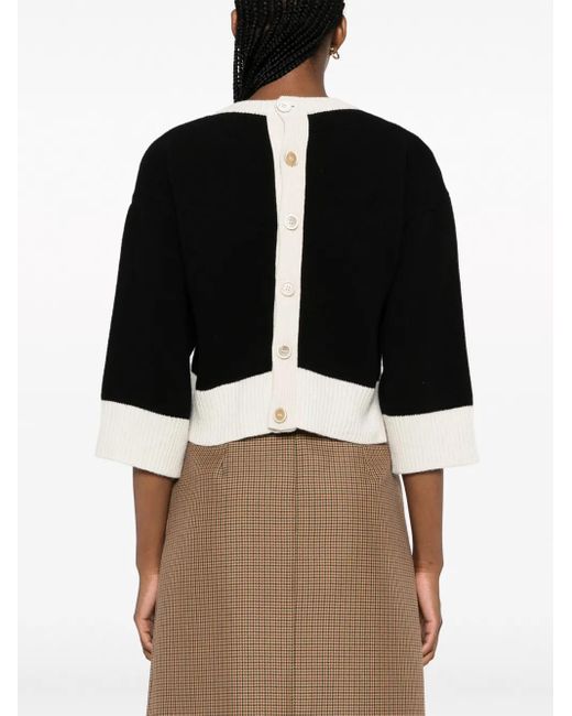 Maglione Crop Con Logo di Marni in Black