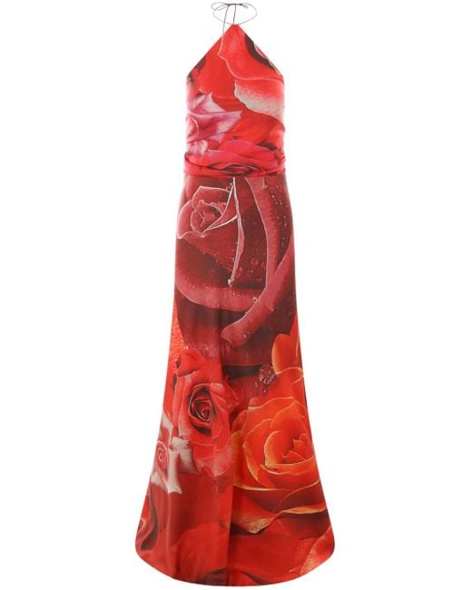 Roberto Cavalli Red Gowns