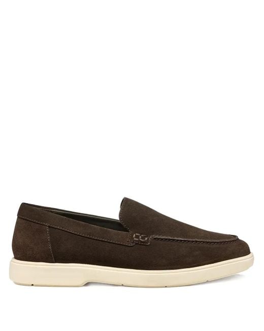 Geox Brown Spherica Ec17 Suede Loafers for men