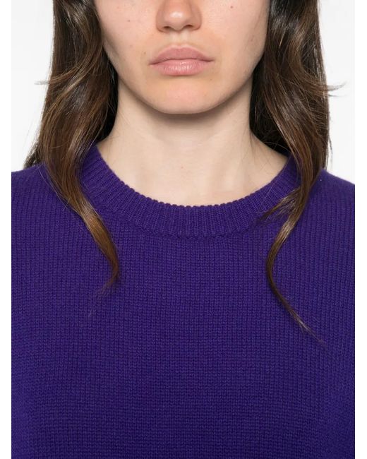 Bompard Purple Ribbed-Knit Sweater