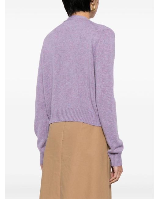 Lisa Yang Vest Met V-hals in het Purple