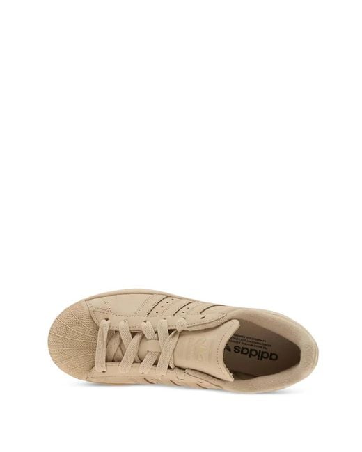 Adidas Natural Supertar Ii Sneakers