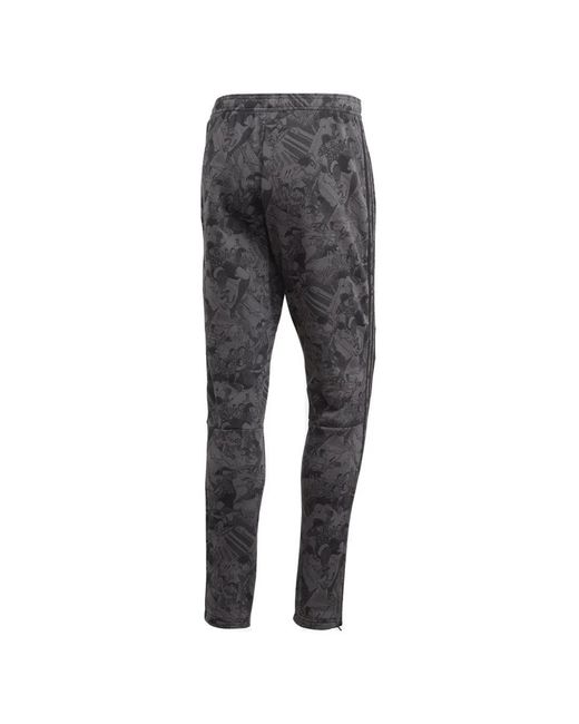 adidas Men's Gray Captain Tsubasa Tiro Track Pants - benaras.co