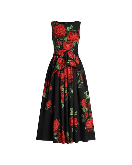 Dolce & Gabbana Red Rose-Print Poplin Midi Dress