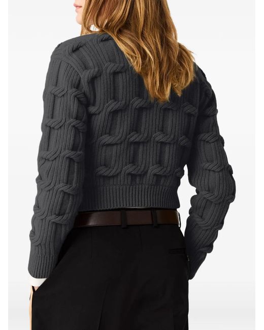 Stella McCartney Blue Crew Neck Sweater