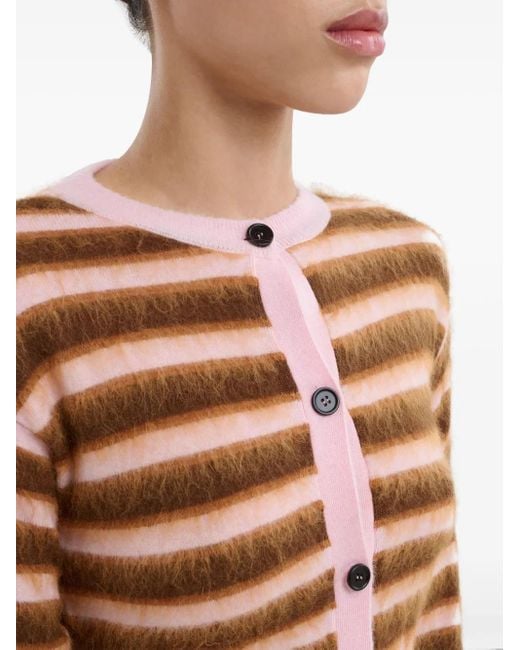 Marni ストライプ カーディガン Brown