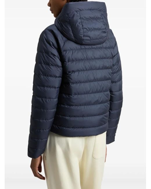 Chaqueta Con Capucha Woolrich de color Blue