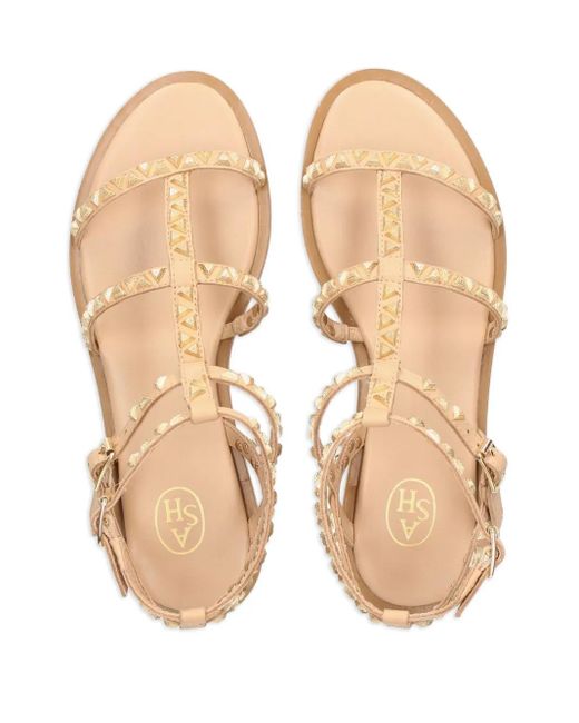 Ash Brown Pandora Sandals
