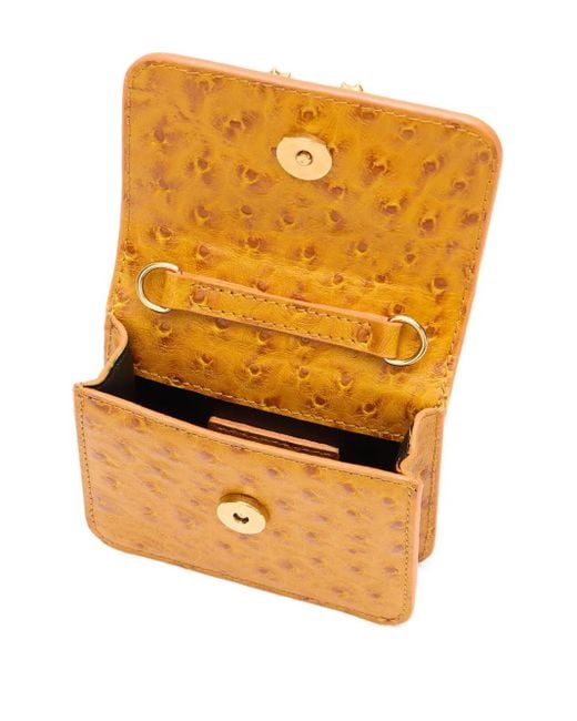 Roberto Cavalli Metallic Mini-Tasche Mit Eulenhenkel