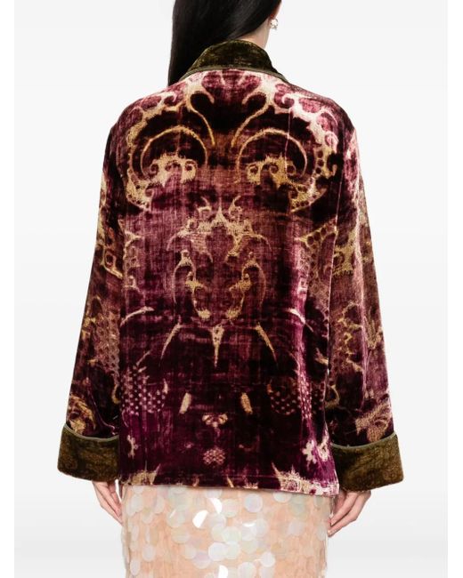 Blazer Kanpur Pierre Louis Mascia de color Brown