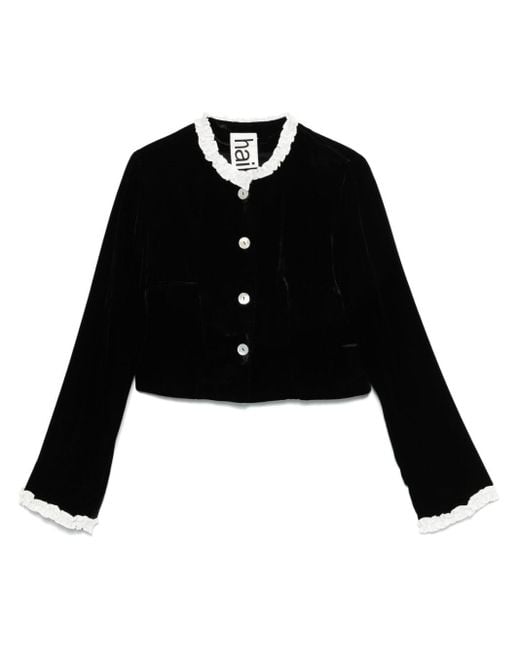 Hai Madeleine Jack in het Black