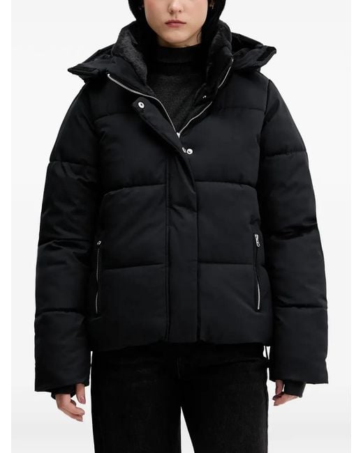 Hollister Black Hooded Puffer Jacket