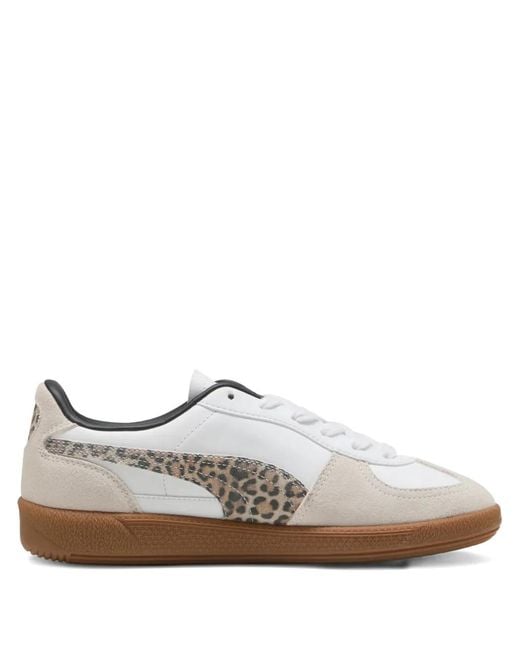 PUMA White Palermo Leopard Low-Tops Sneakers for men