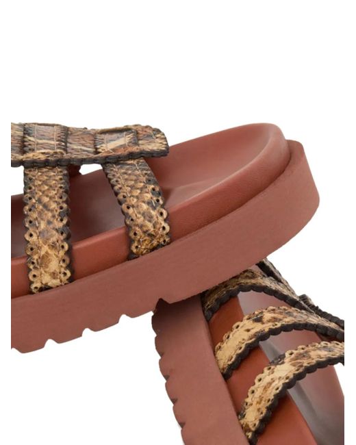 Zimmermann Brown Goldie Gladiator Buckle Sandals