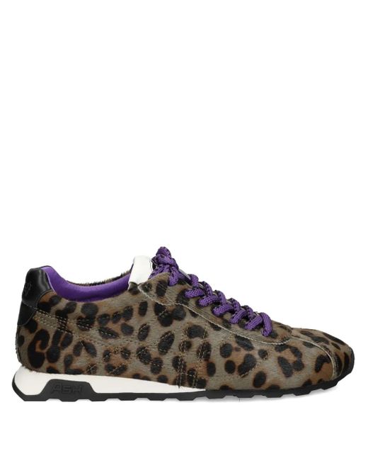 Leopard-print lace-up sneakers Ash de color Brown