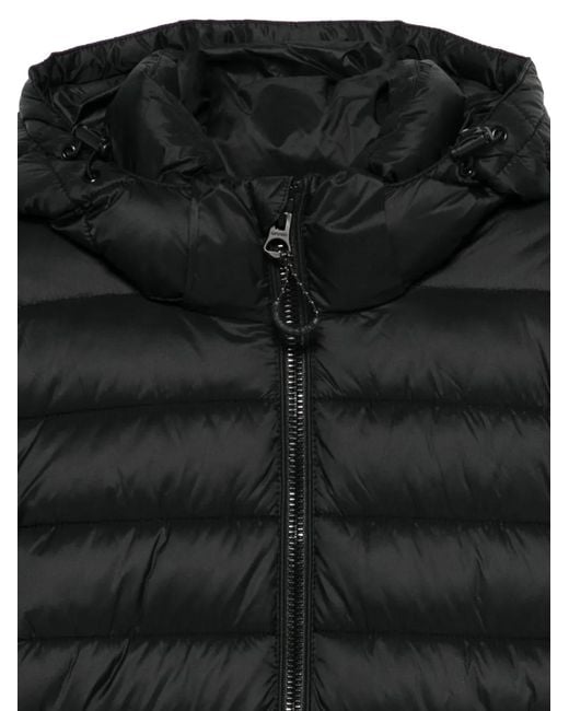 Superdry Black Hooded Padded Jacket
