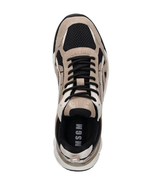 Sneakers Con Inserti di MSGM in Black