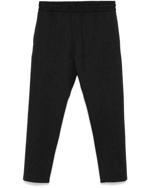 Dondup Dom Jogginghose in Black für Herren