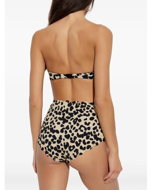 Marysia Swim Black Santa Monica Cheetah-Print Bikini Bottoms