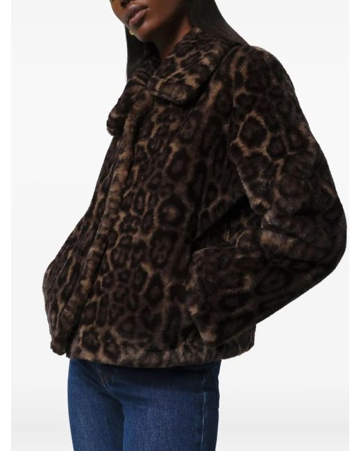 Apparis Brown Elis Leopard-Print Jacket