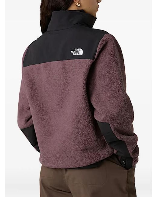 The North Face Brown Retro Denali High-Neck Fleece Jacket
