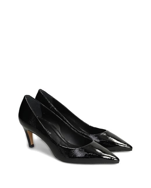 Carrano Black Pointed Pumps