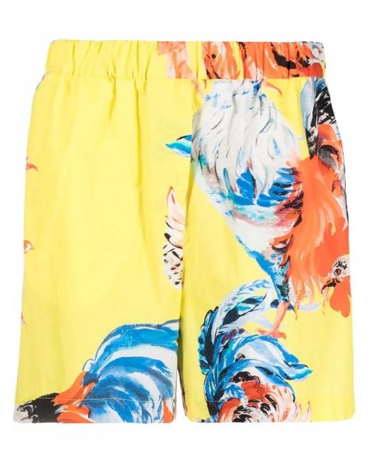 MSGM Yellow Rooster Print Shorts