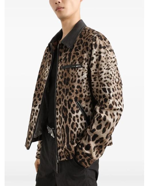 Dolce & Gabbana Black Leopard-Print Jacket for men