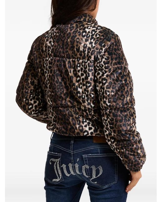Juicy Couture Brown Leopard-Print Velour Jacket