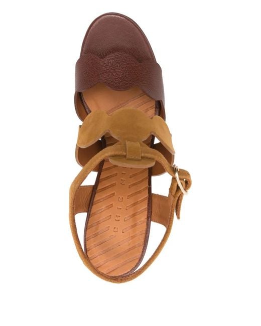 Chie Mihara Brown Caliga Scalloped Strap Sandals